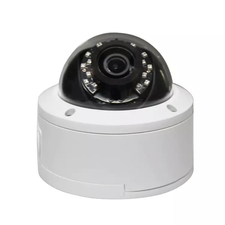 Longse IP Camera Dome, 1/3 OV